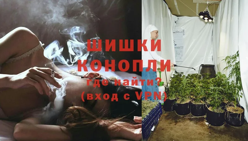 купить  цена  Приморско-Ахтарск  Конопля Ganja 